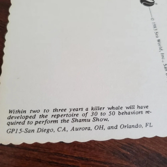 Postcard 1983 Sea World SHAMU Show Orlando Florida - Picture 3 of 4